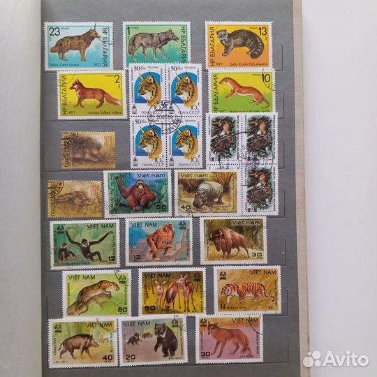 Почтовые марки и блоки фауна