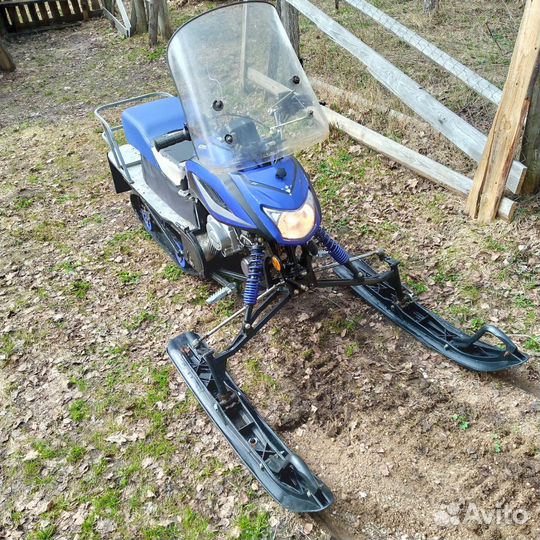 Динго Т125