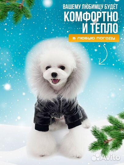 Комбинезон для собак мелких пород утепленный