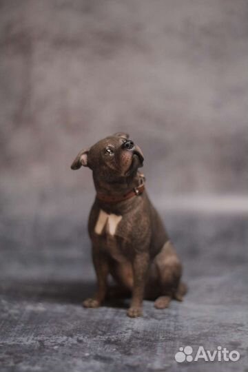 Модель собаки 1:6 стаффордширский терьер MR. Z