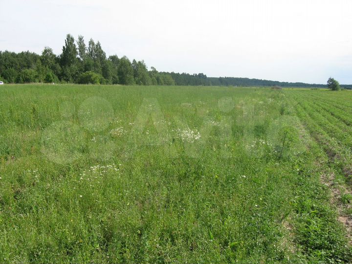 Участок 2,87 га (СНТ, ДНП)