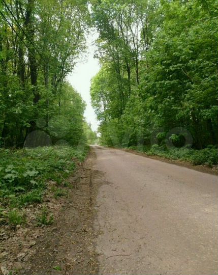 Участок 25 сот. (СНТ, ДНП)