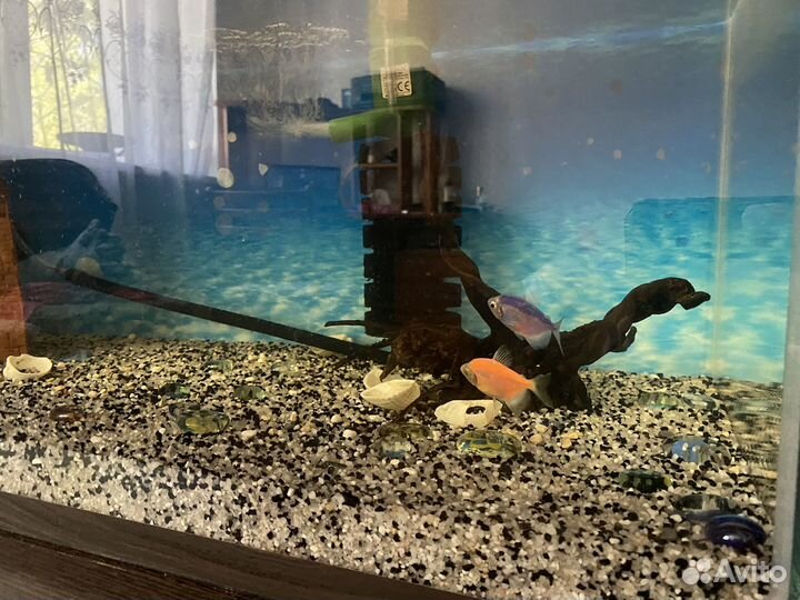 Аквариум