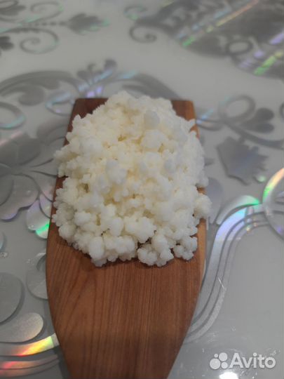 Тибетский молочный гриб