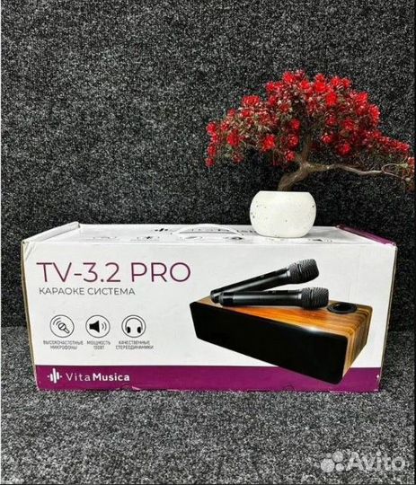 Караоке система для дома