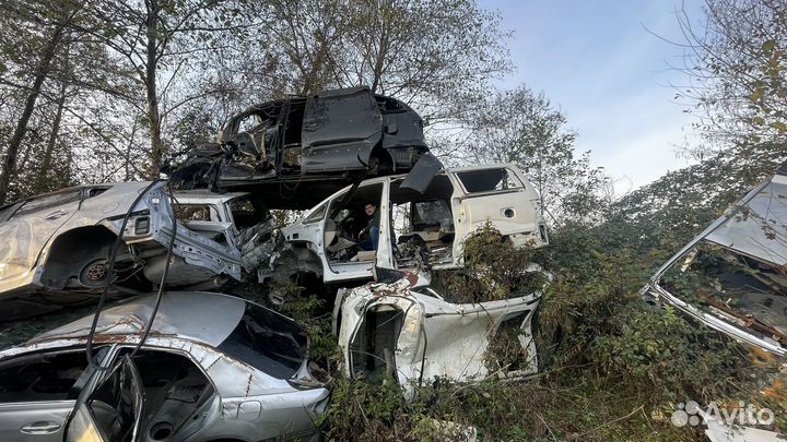 Разбор Toyota Alphard