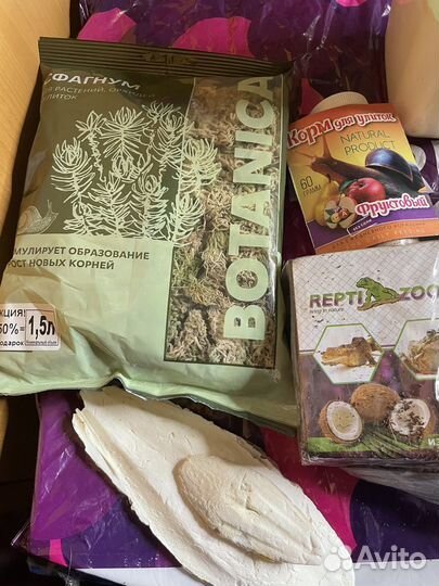 Для улиток Ахатин