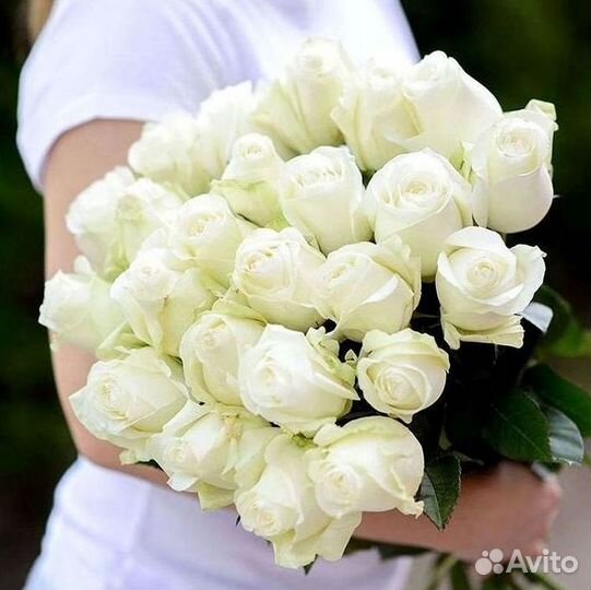 Розы Цветы Букеты 25 51 151 201 101 301 501 опт
