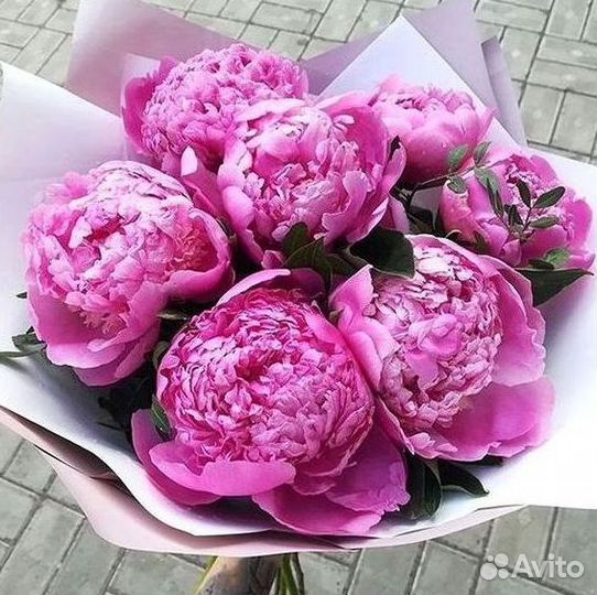 Пионы Букеты Цветы Доставка