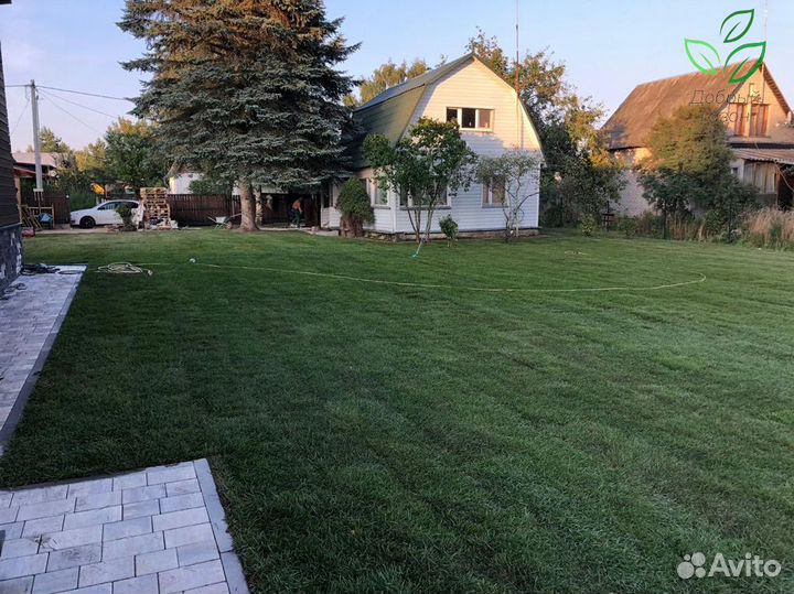 Рулонный газон под ключ