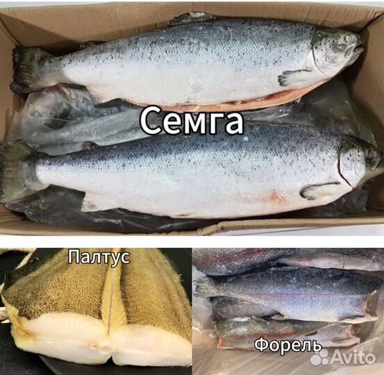 Семга 7кг, рыба, морепродукты, икра