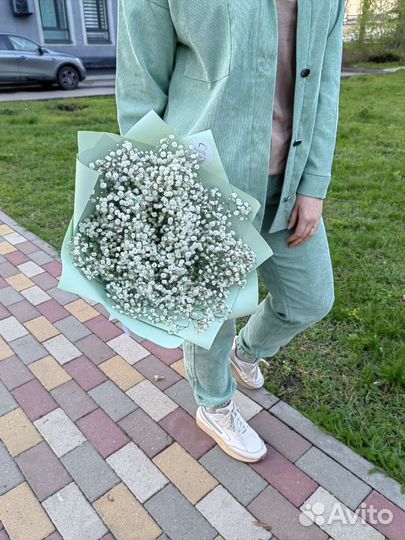 Гипсофила Букеты из гипсофил доставка