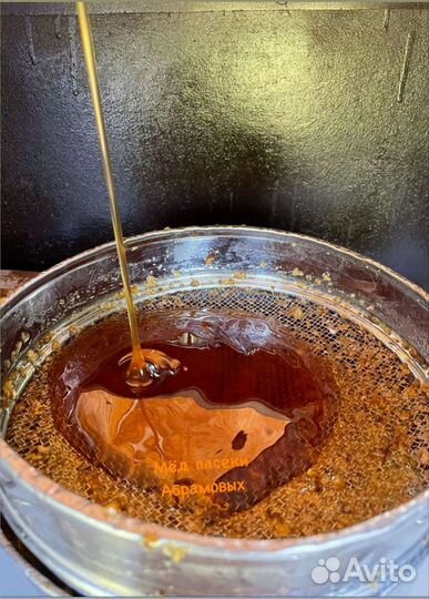 Мед свежий гречишный