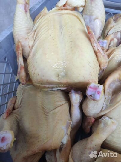 Продам сало домашнее, свинину, говядину, куры