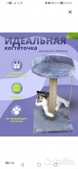 Когтеточка новая