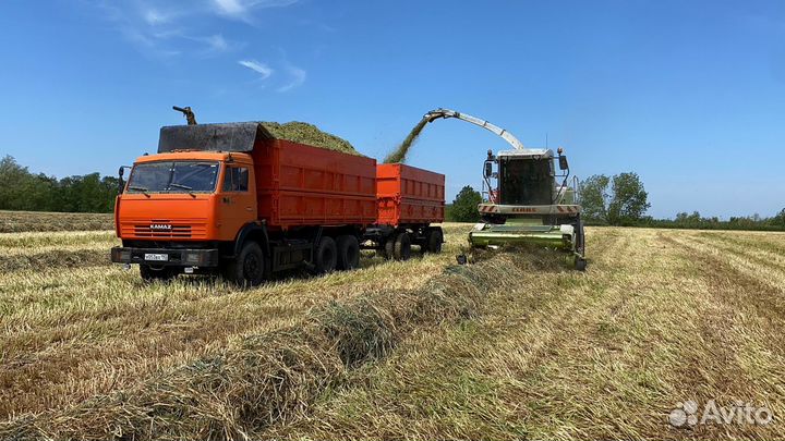 Услуги Камаз сельхозник самосвал (грузоперевозки)
