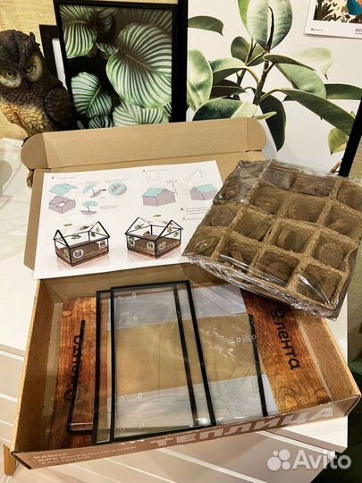 Теплица домашняя