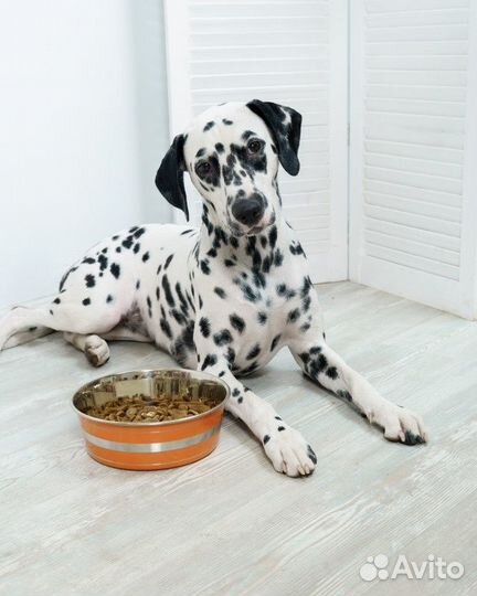 Tappi миски миска 