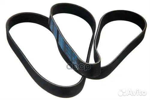 Ремень поликлиновой 8PK1955 Landrover Range Rover