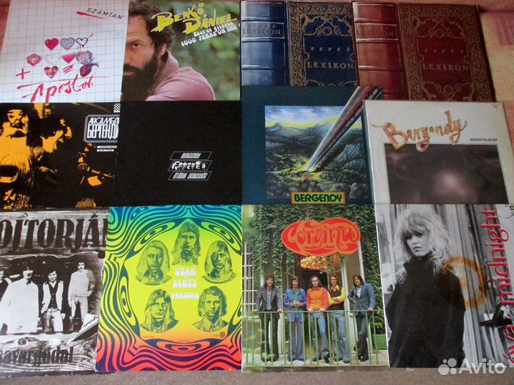 Виниловая коллекция демократов-Венгрия