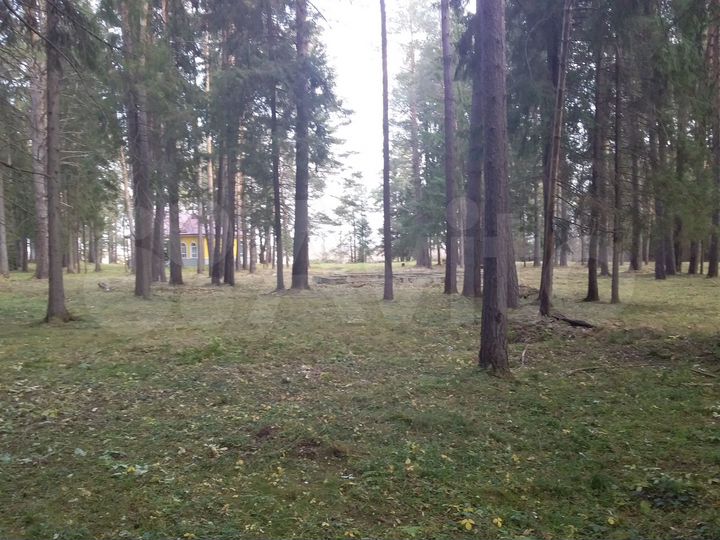 Участок 33 сот. (СНТ, ДНП)