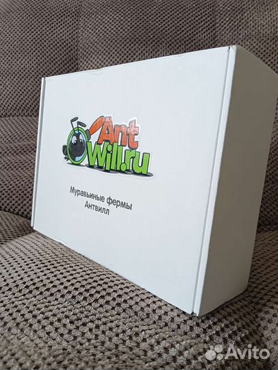Муравьиная ферма AntWill