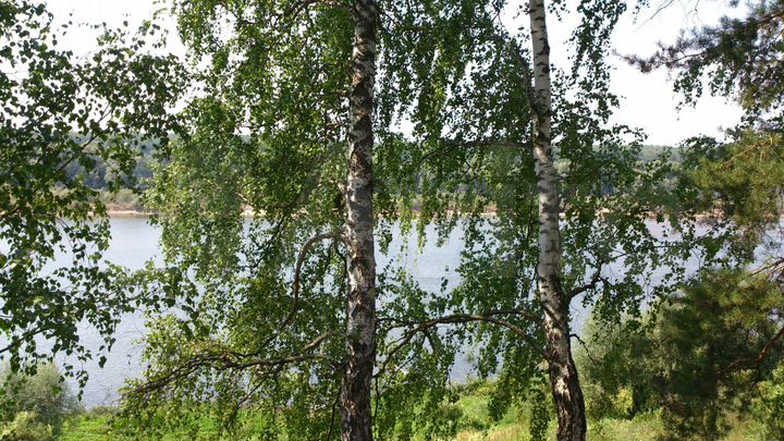 Участок 18,9 сот. (СНТ, ДНП)