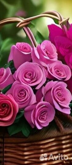 Роза вьюшка микс