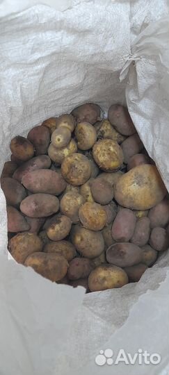 Фермерские продукты