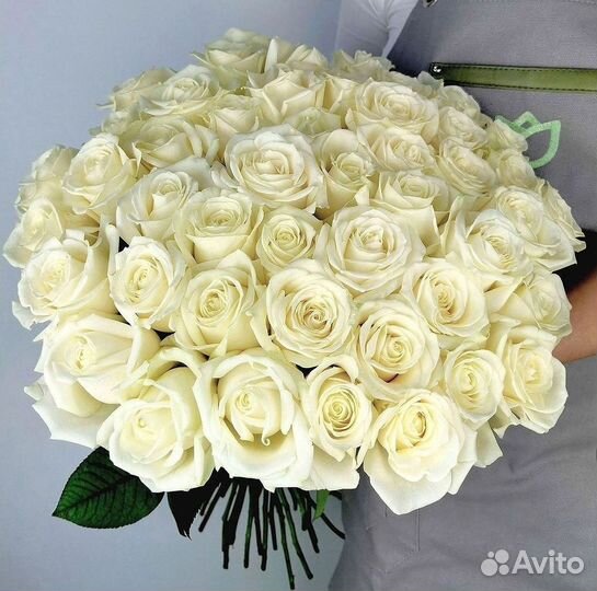 Высокие Розы Гиганты Доставка Круглосуточно