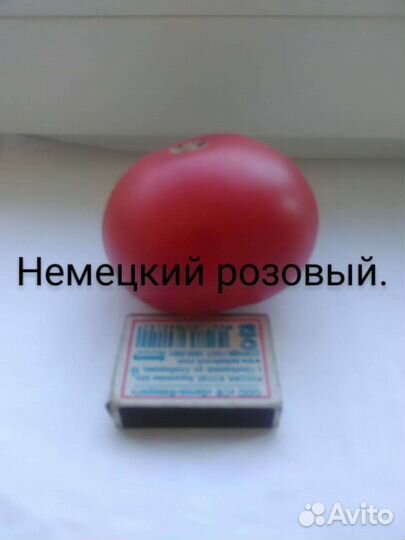 Семена Томата и Огурца Старинных сортов