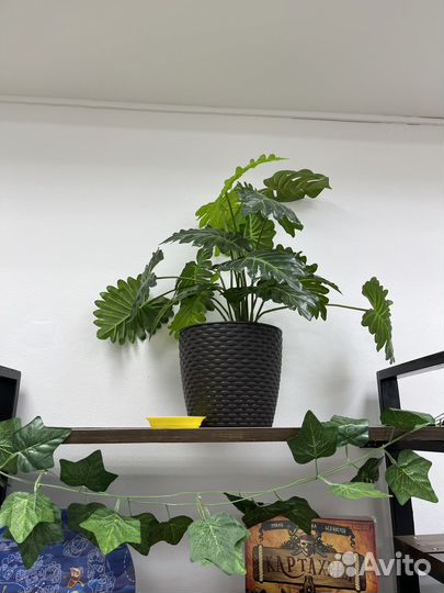 Декоративные растения (искусственные)