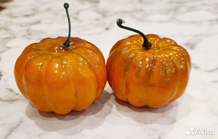 Тыква для поделок