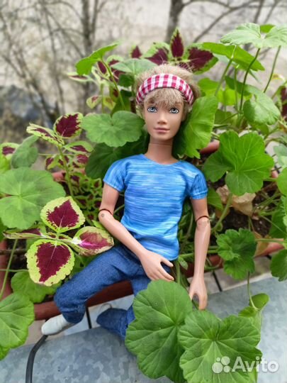 Кукла Ken My Hutson