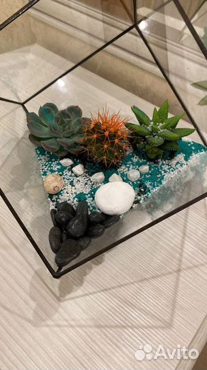 Ваза для флорариума/формы/подарки/шкатулка