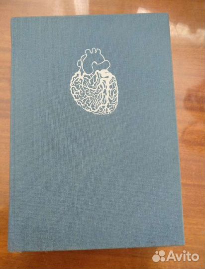 Организм человека