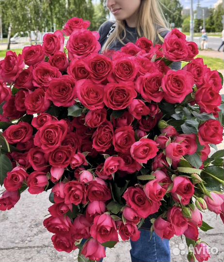 Малиновые кустовые розы