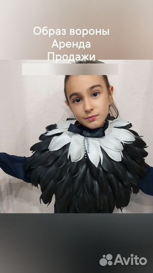 Воротники вороны,сороки