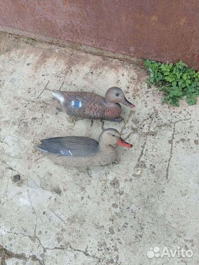 Муляж утка