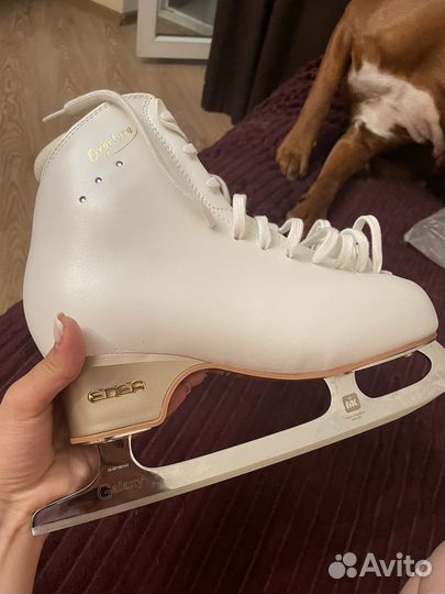 Фигурные коньки edea overture