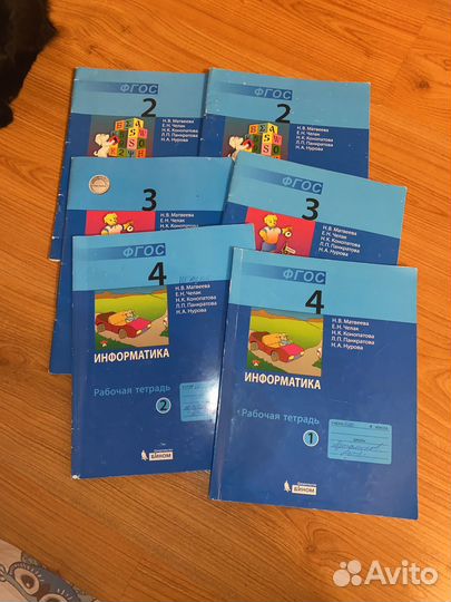 Рабочие тетради 3 -4 класс