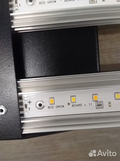 Лампа светодиодная для растений Flasher 2UP BCD 20