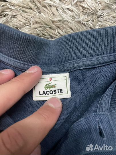 Поло Lacoste