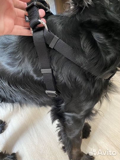 Нейлоновая шлейка Triol