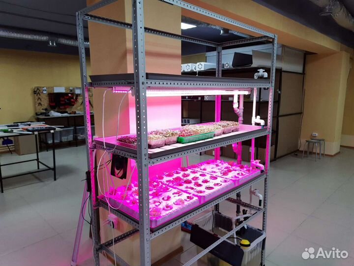 Домашняя мини-ферма для выращивания