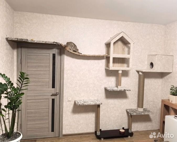 Когтеточка с домиком и лежанкой