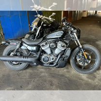 Harley Davidson Nighster RH 975 2022