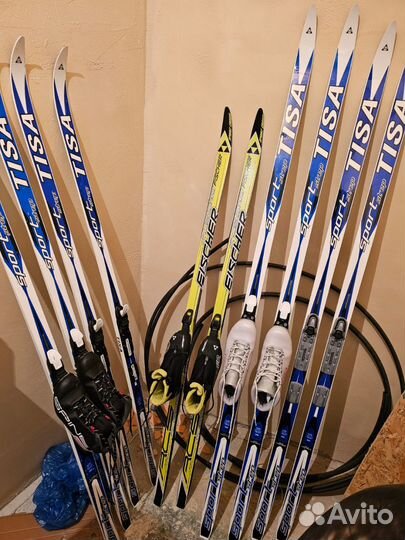 Беговые лыжи