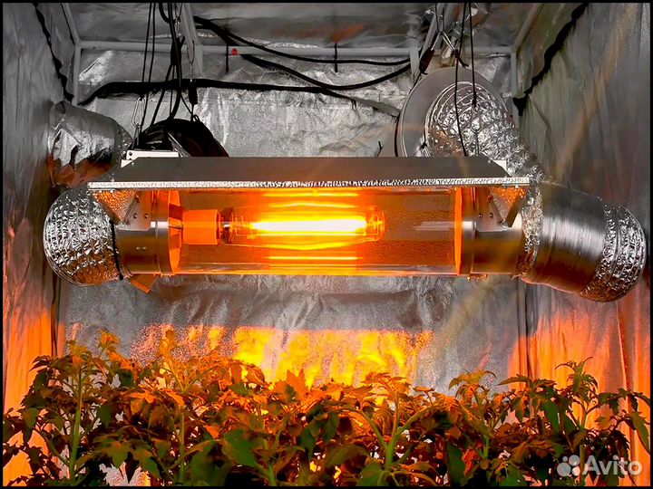 Комплекты Днат 400 ватт для растений