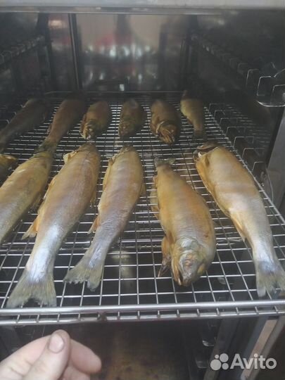 Домашнее копчение